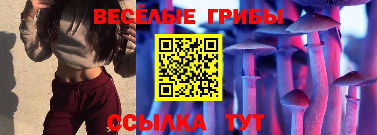 Псилоцибиновые грибы GOLDEN TEACHER Егорьевск